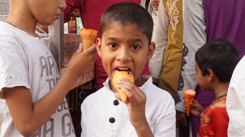 Hanging Gutter Planters